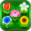 花束 - 在益智遊戲中收集花束