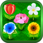 꽃다발 - 퍼즐 게임에서 꽃다발 수집 아이콘