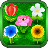 Bouquets icon