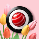 Okinava - Доставка готовой еды APK