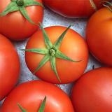 Дневник садовода Умный Огород APK