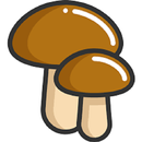 Mushrooms APK