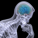 Курс оперативной хирургии APK