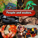 People and snakes. APK