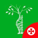 Травматология и ортопедия APK