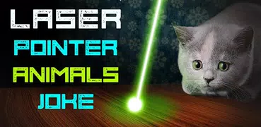 Laser Pointer Animals Joke