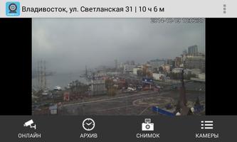 Владлинк live capture d'écran 1