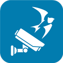 freedom Видеонаблюдение APK