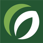 Слата X5 Клуб icon