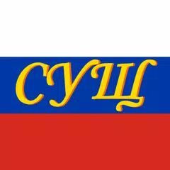 Russian noun declension APK Herunterladen