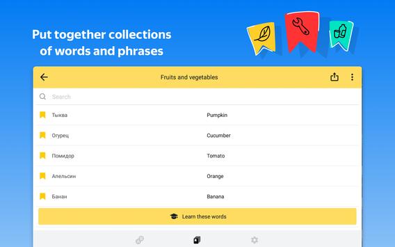 Yandex.Translate – offline translator & dictionary screenshot 12