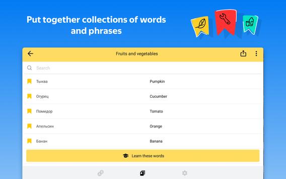 Yandex.Translate – offline translator & dictionary screenshot 20