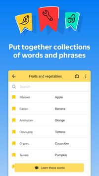 Yandex.Translate – offline translator & dictionary screenshot 4