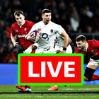 Watch Rugby Union Live Stream FREE icône