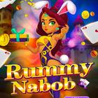 Rummy Nabob App Advisor icône