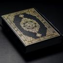Dars e Quran APK