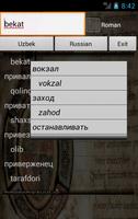 Russian Uzbek Dictionary Plakat
