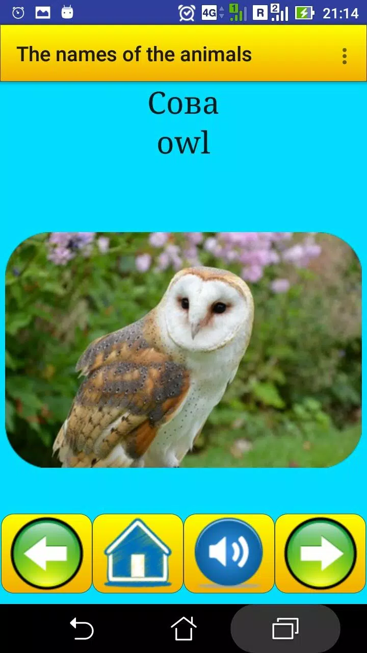 Animals names in Russian APK for Android Download Animals names in Russian APK for Android Download