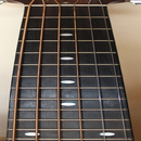 Guitar Fretboard Addict APK