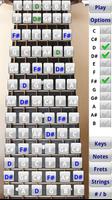 Guitar Fretboard Addict screenshot 2