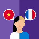 Vietnamese-French translator APK
