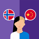 Norwegian-Chinese translator APK