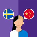Swedish-Chinese translator APK
