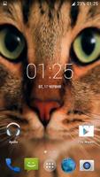Wonderful Cat Live Wallpaper Cartaz