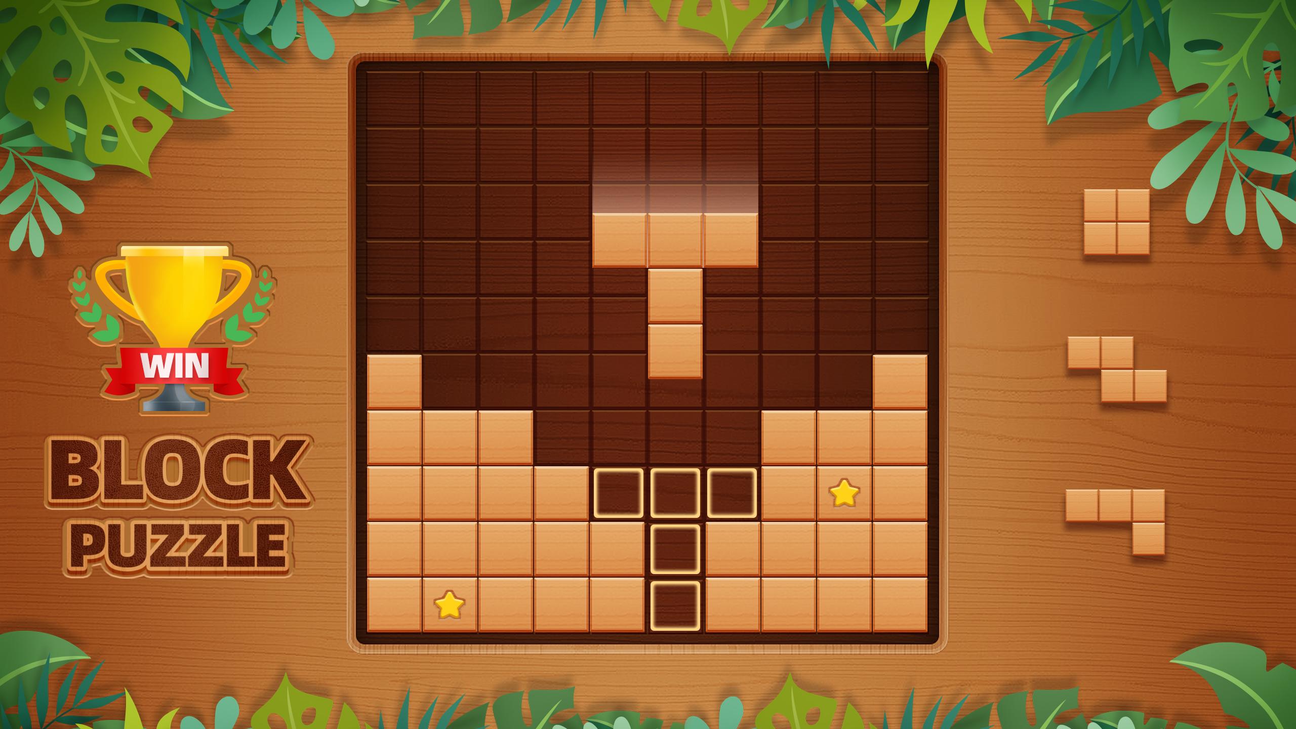 Игра вуд блок играть. Игра Block Puzzle Block Block. Wood Block Puzzle. Wood Block Puzzle цветные. Wood Block Puzzle без блоков.