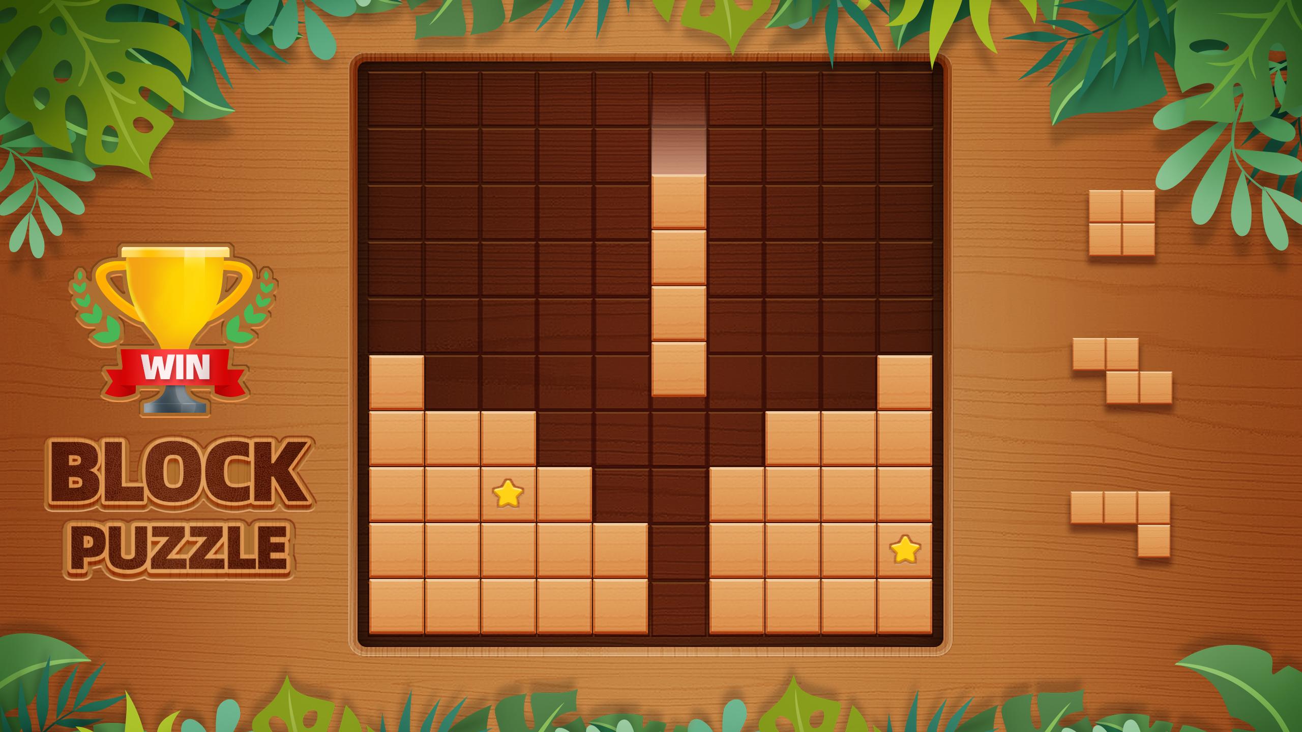 Wood nuts puzzle. Wood Block Puzzle. Головоломки Block Puzzle. Wood Block Puzzle 60к. Игра Block Puzzle Block Block.
