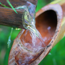 bamboo fountain lwp aplikacja