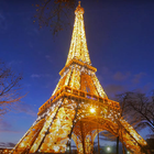 eiffel tower video wallpaper - eiffel tower night icône