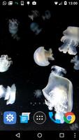 1 Schermata medusa lwp