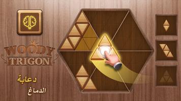 Woody Trigon لعبة ألغاز خشبية تصوير الشاشة 1
