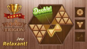 Woody Trigon Poly Puzzle Game Affiche
