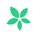 TimeTree - Shared Calendar APK
