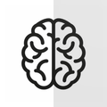 Rechts-Links Trainer
