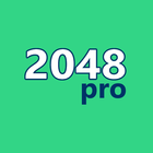 2048 Pro icône