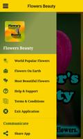 Flowers Beauty 스크린샷 1