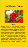 برنامه‌نما Flowers Beauty عکس از صفحه