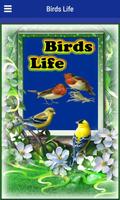Birds Life Affiche