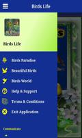 Birds Life capture d'écran 1