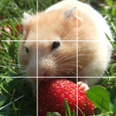 Puzzle Hamster - Cute Hamster Puzzle APK