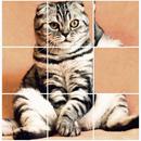 Puzzle Kittens - Cute Cat Puzzle APK