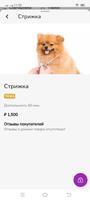Кот и Пес capture d'écran 1