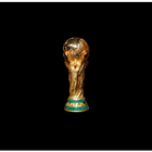 World Cup 2022 Predictor icône