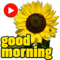 Animated Good Morning Stickers