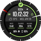 Active Point Watch Face ikon