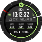Active Point Watch Face आइकन