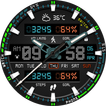 Digital Monster Watch Face